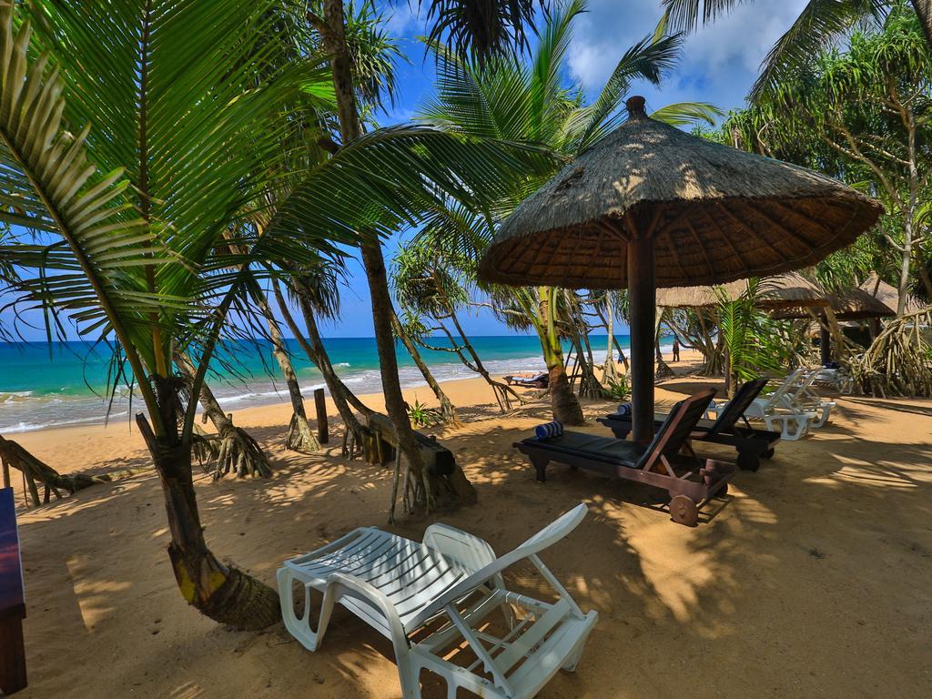 Thejan Beach Cabanas Bentota Exterior foto